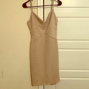 Fashion Nova Fitted Dress